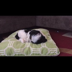 Meet your Posher, Giselle